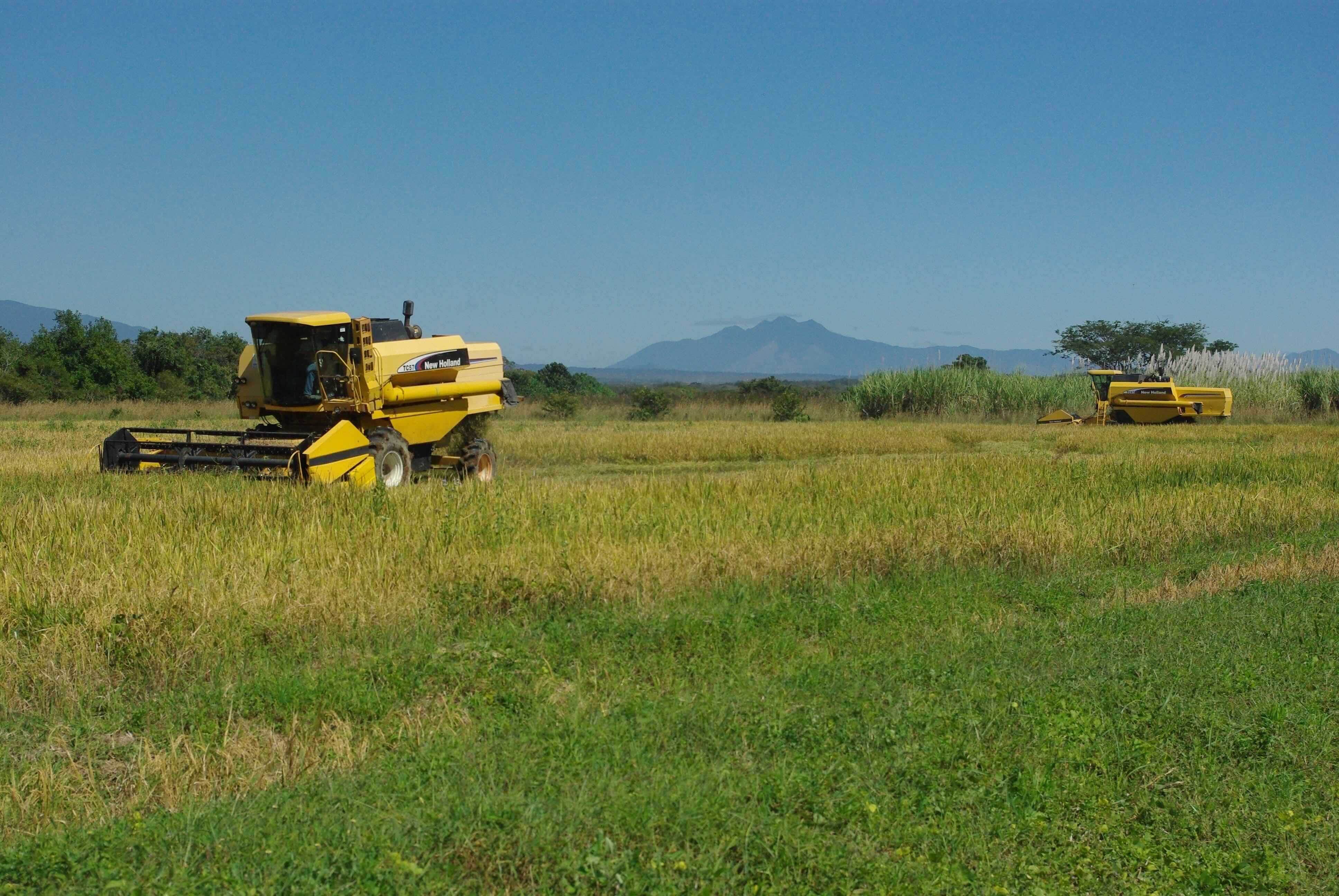 Agricultura sostenible